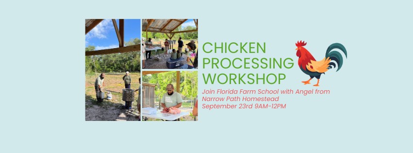 Chicken Processing Class | Florida Farm School