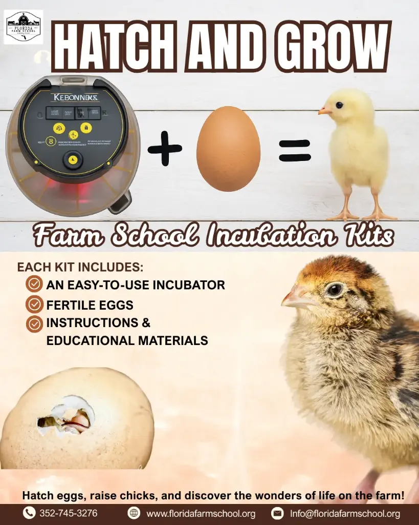 Incubator Rental