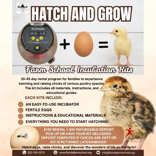 Incubator Rental